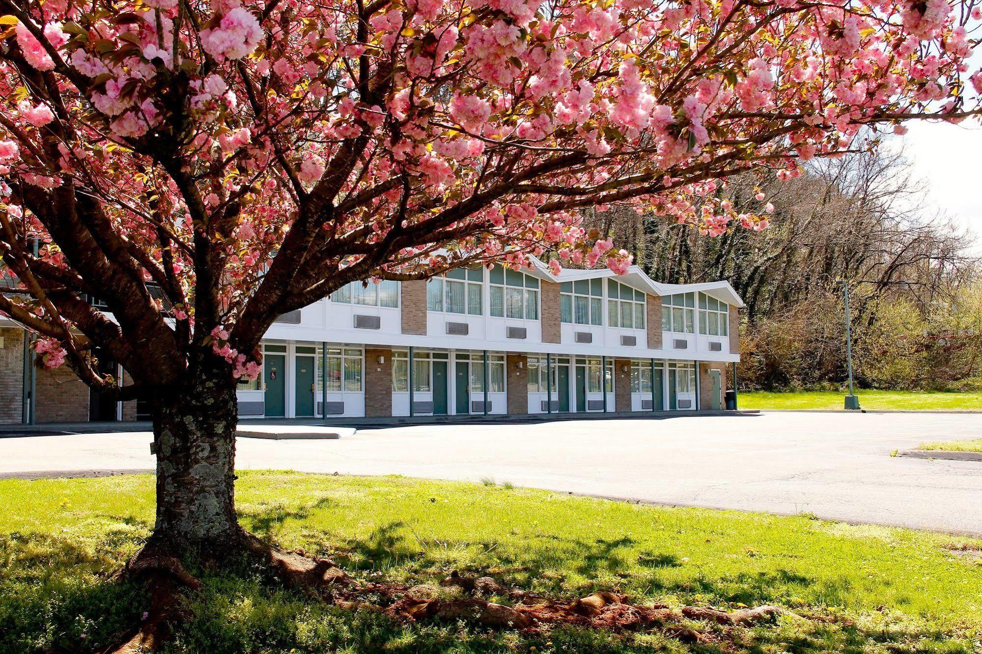 Colony House Motor Lodge Roanoke Exterior photo